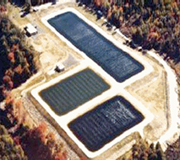 Aeration System